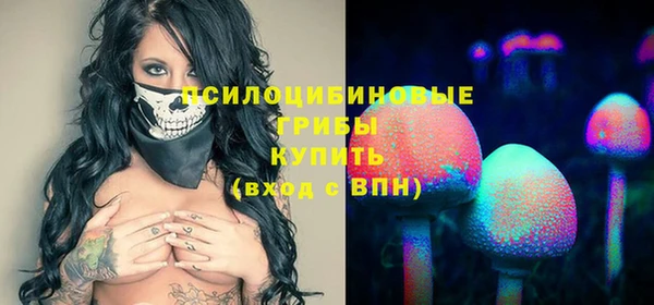 мет Заводоуковск
