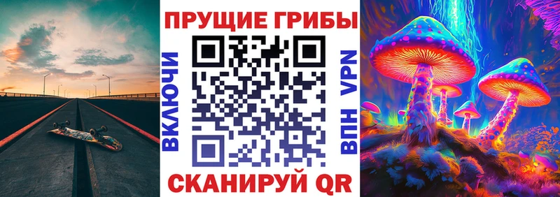 Купить где  Кольчугино  Псилоцибиновые грибы Magic Shrooms 